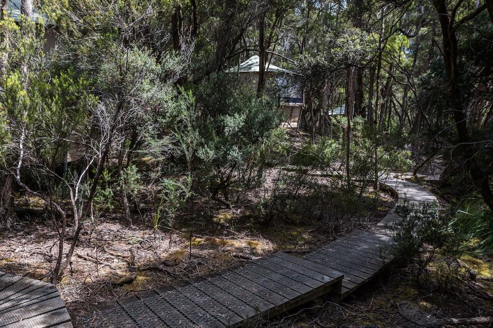 Southwest Wilderness Camp - Tasmania