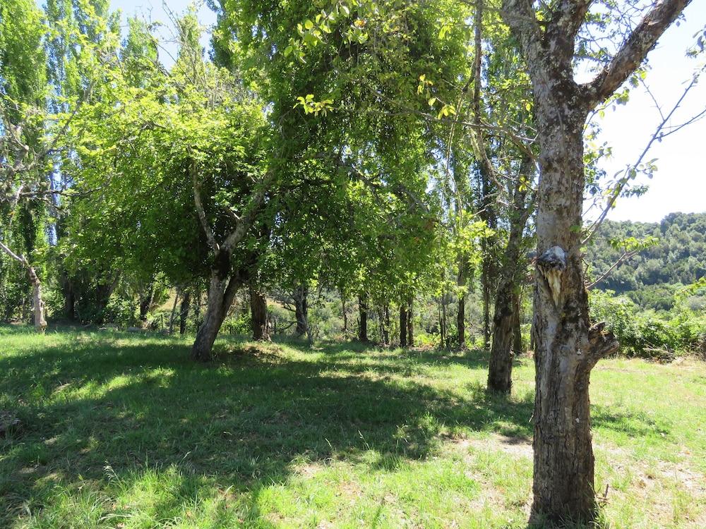 Cabañas Origen Chiloe