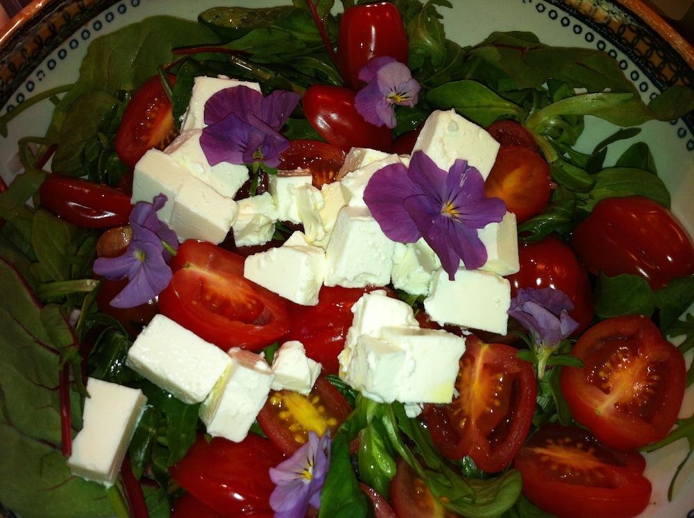 Askø Bed & Breakfast