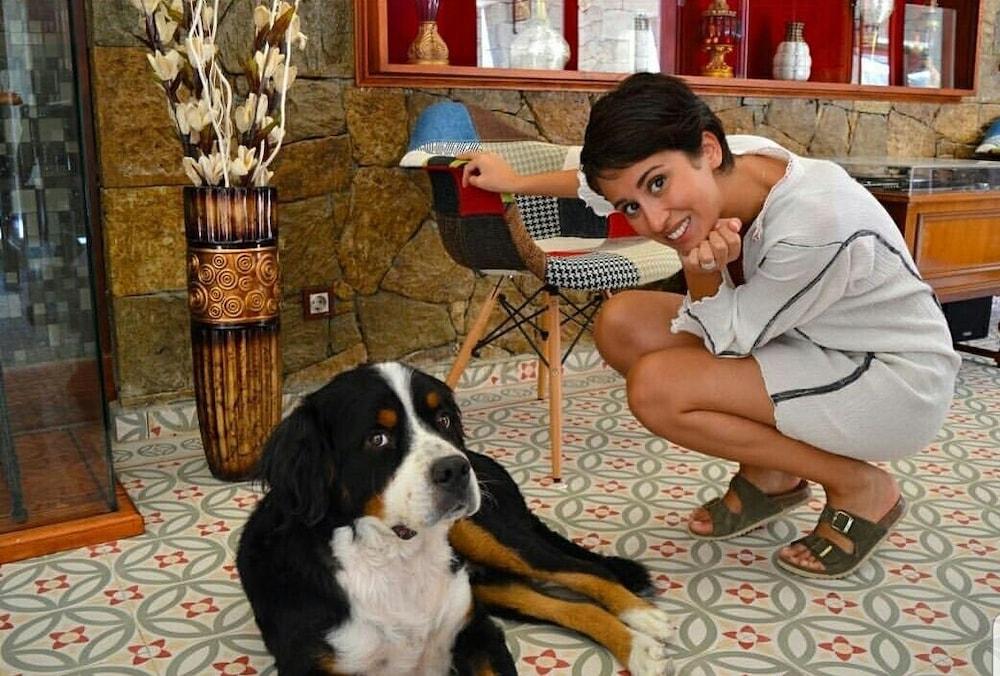 Kazdaglari Karye Müze Otel