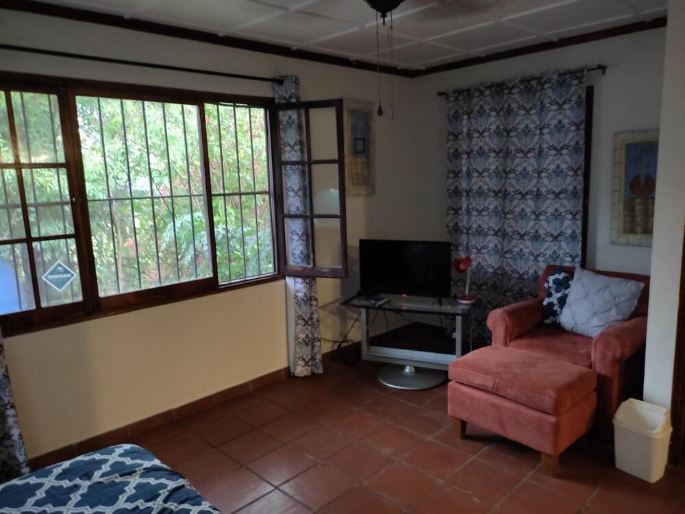 La Jungla Experience