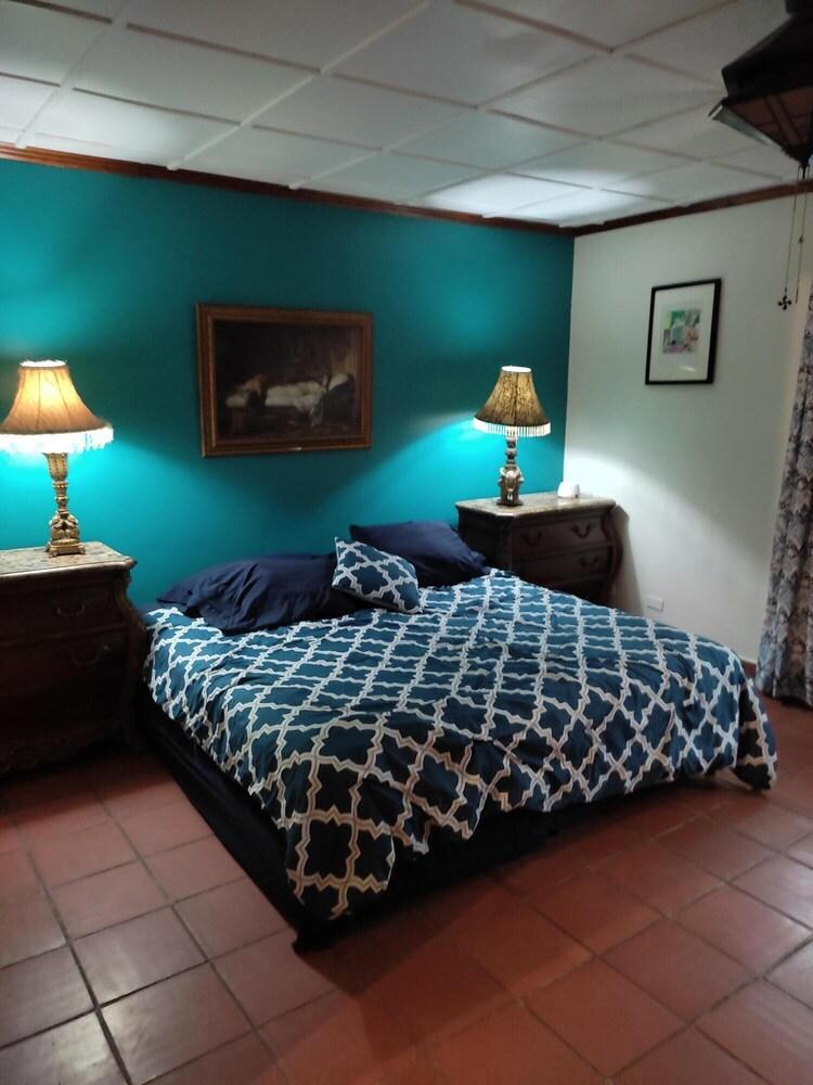 La Jungla Experience