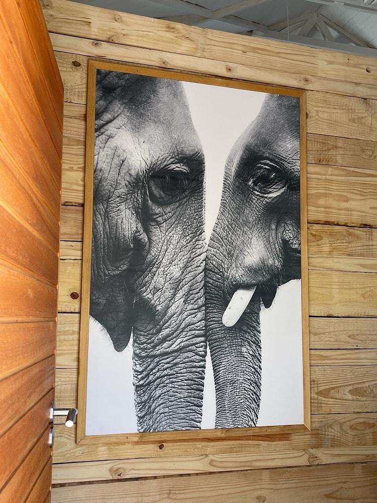 IsiLimela Game Lodge