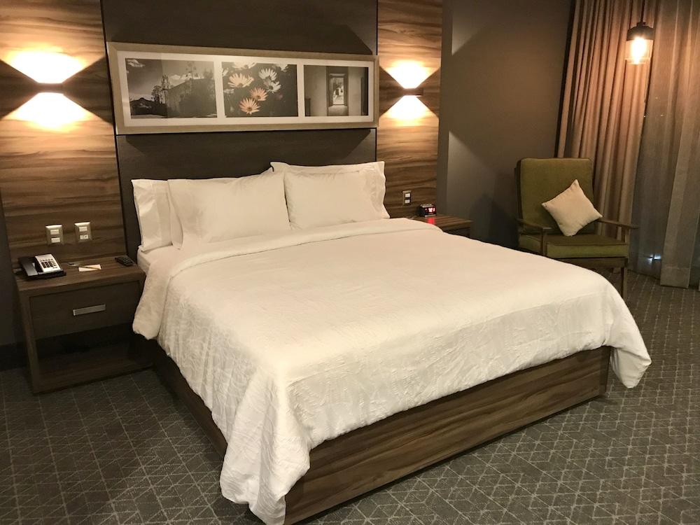 Hilton Garden Inn Aguascalientes