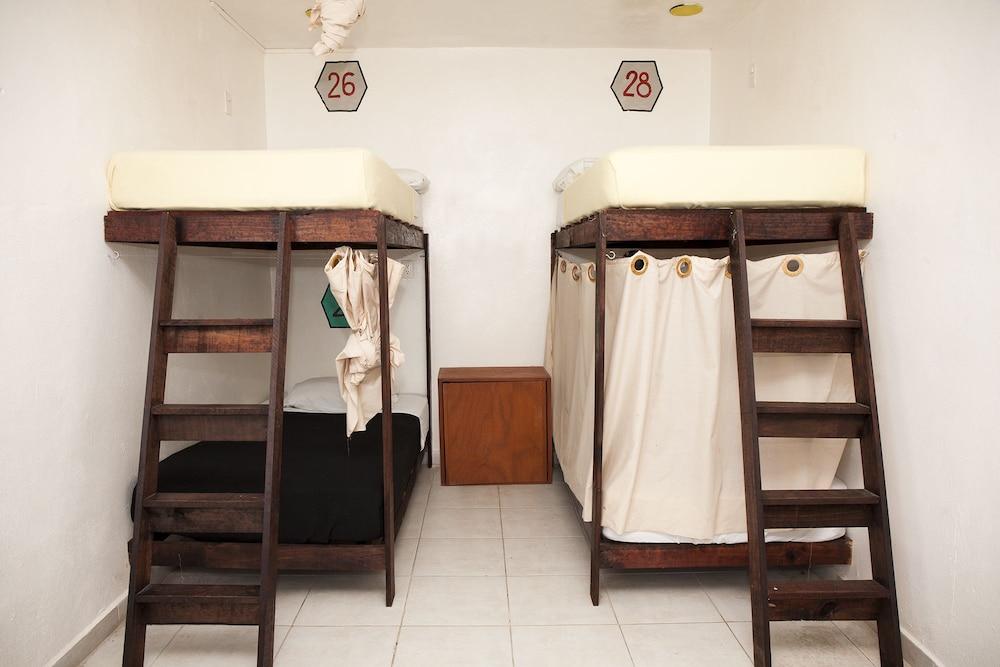 Lucky Traveler Hostel