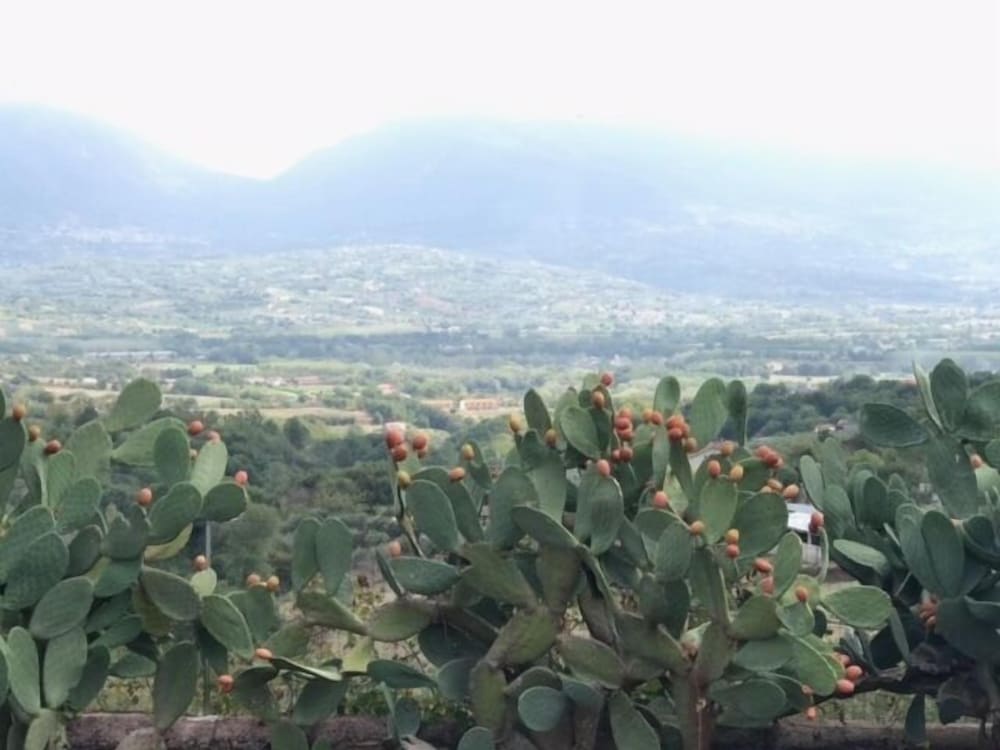 Antico Casale di Campagna