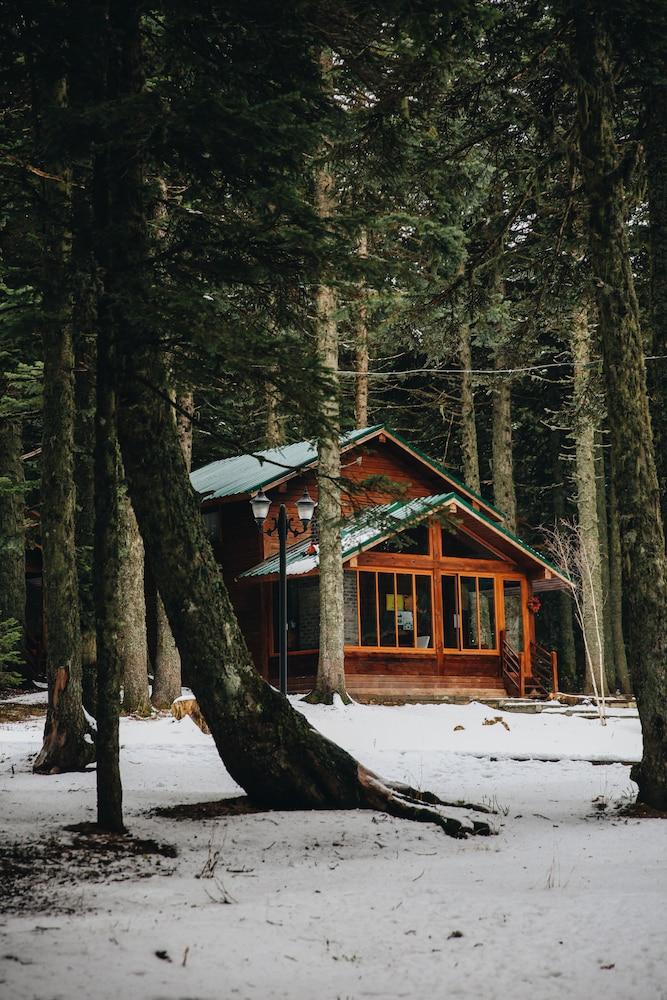Karinna Forest Houses