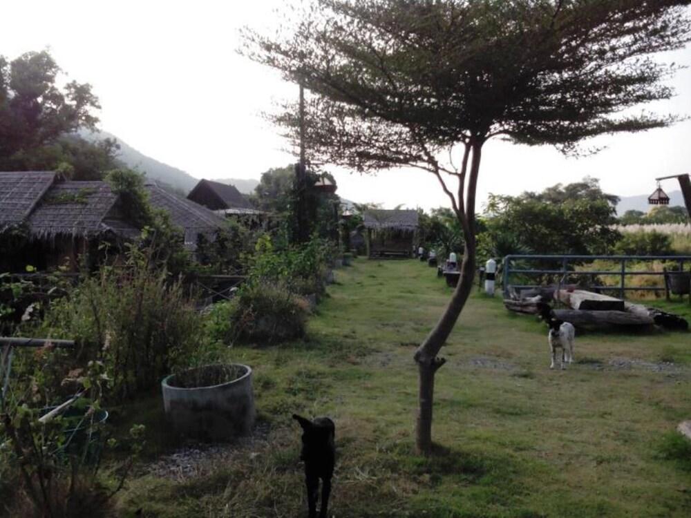 My Rose Valley Resort