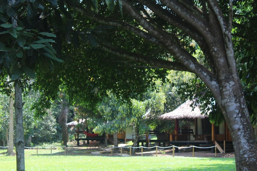 La Habana Amazon Reserve