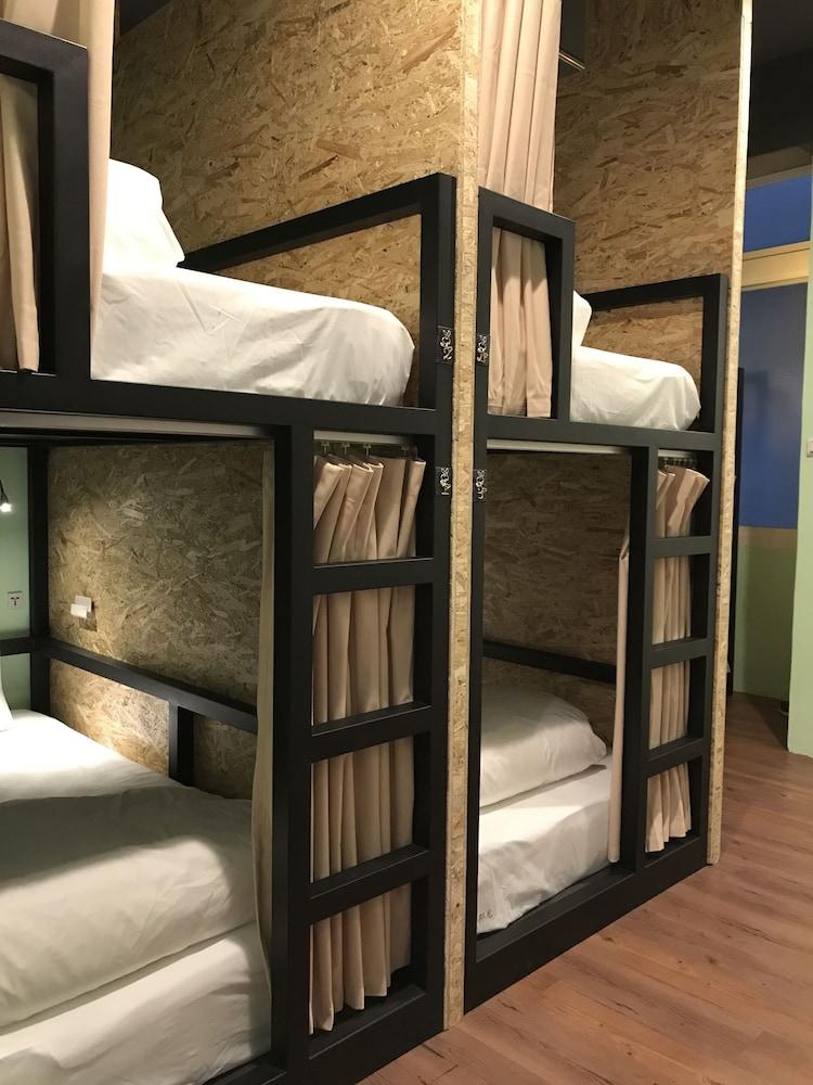 Tourist Bunny - Hostel