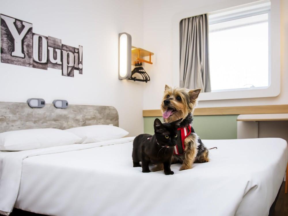 ibis budget Campinas Aquidaban