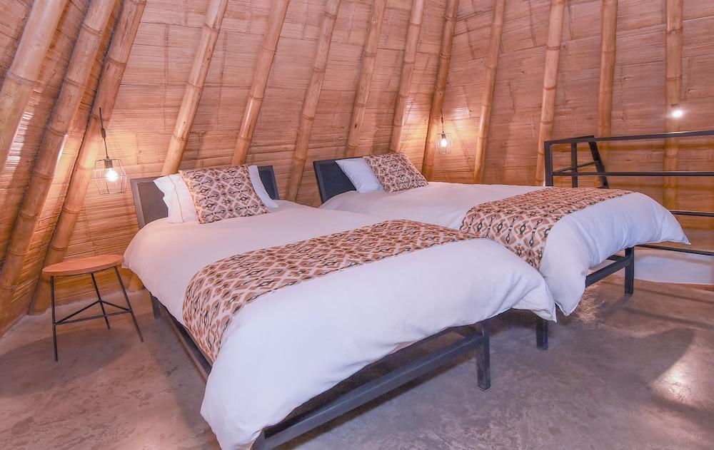 Ceiba by Masaya Collection