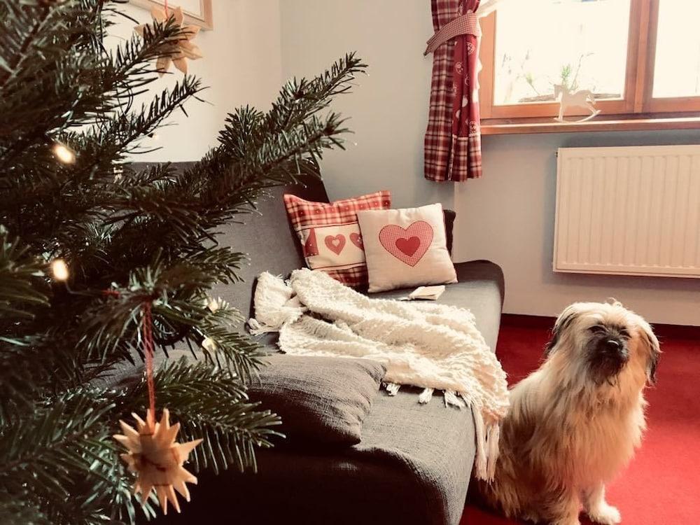 Apartament Jaworzyna