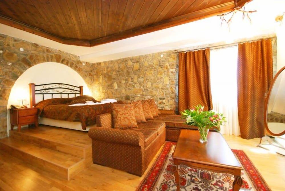 Vasilitsa Spa Resort