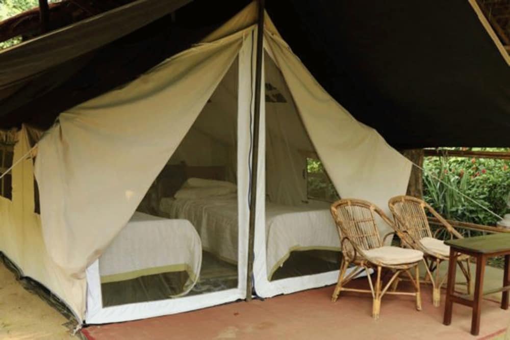 Tigertops Elephant Camp