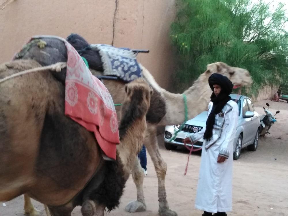 Authentique Riad M'hamid