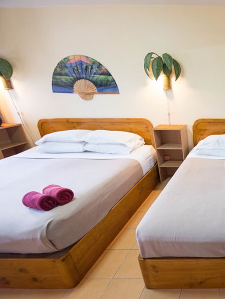 Funky Monkey Guesthouse and Tour