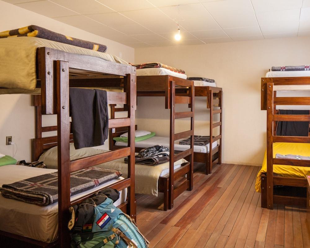 The Adventure Brew Downtwon Hostel