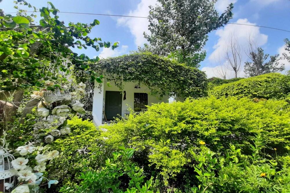 Dudhwa Jungle Lore by Cappuccino Resorts