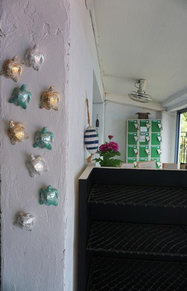 Sea Turtle Hostel - Adults Only