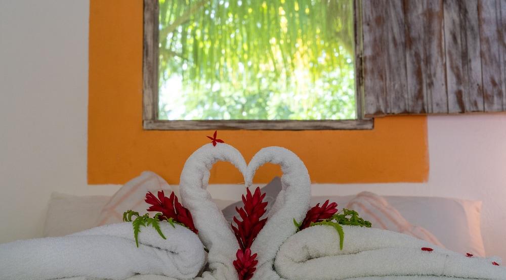 Las Dunas Surf Resort - Hostel