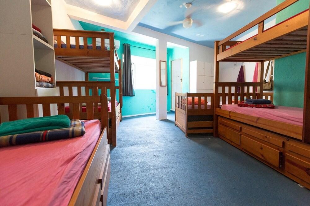 Natural Do Rio GuestHouse - Hostel