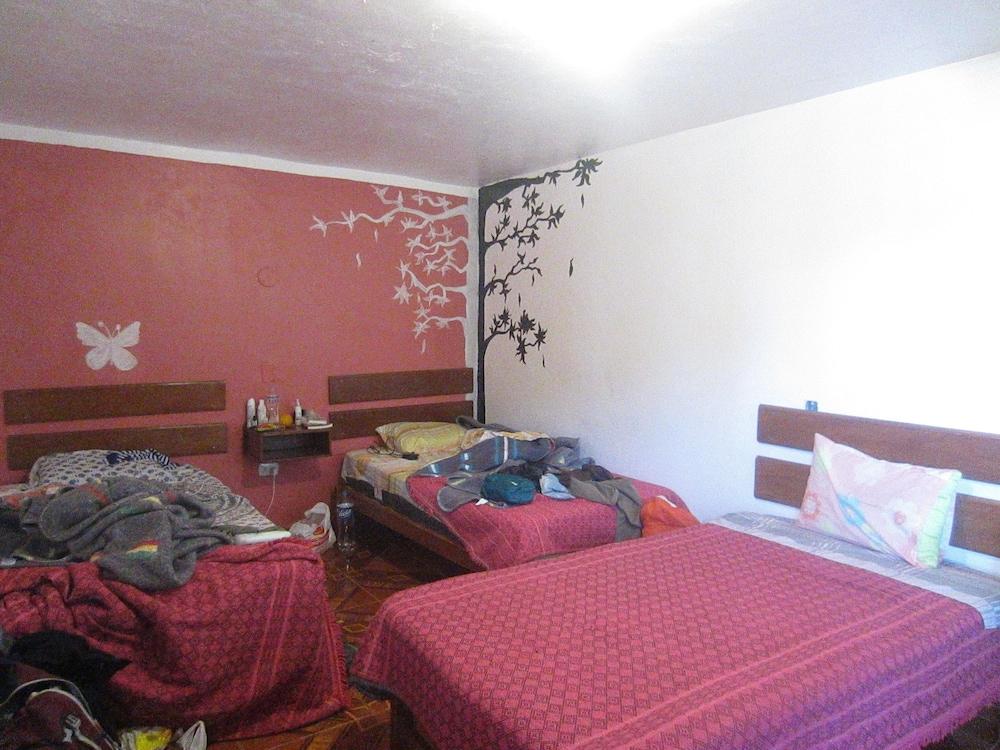 Vacahouse 2 Eco-Hostel