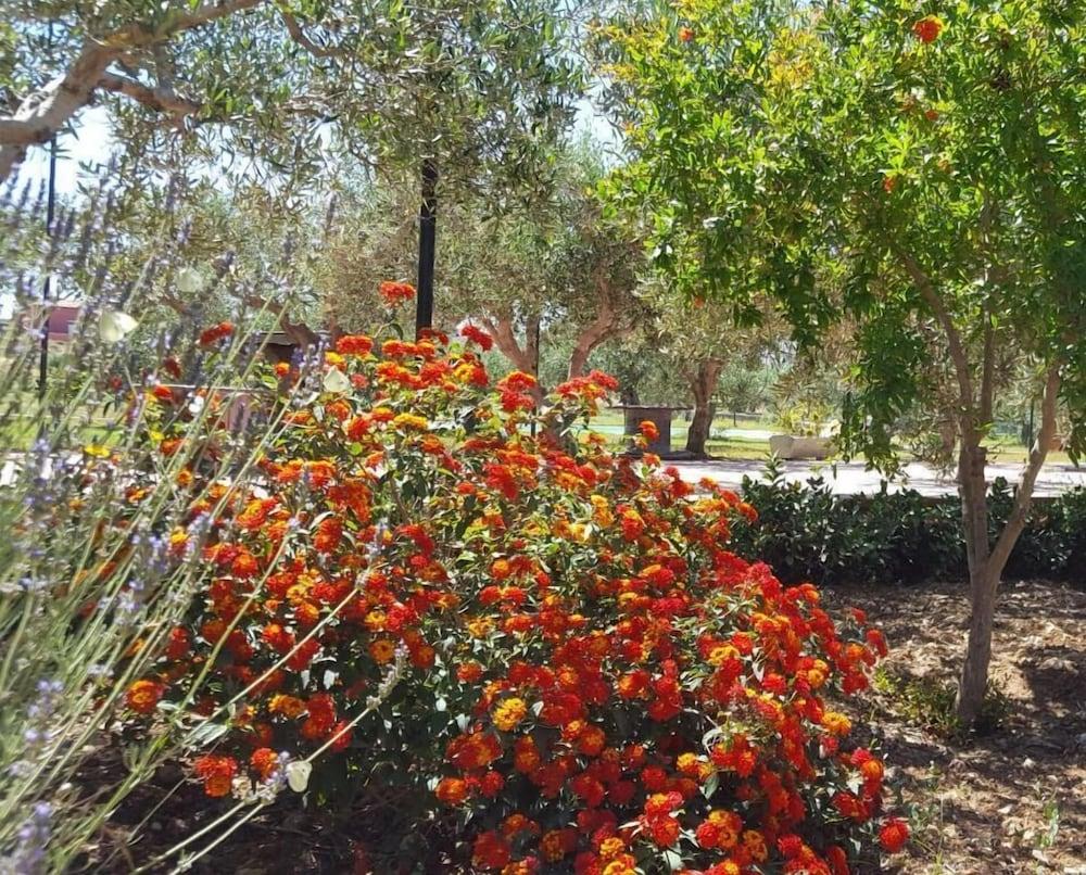 Le case di Anna e Carla