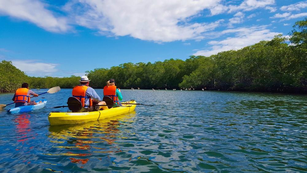 Las Palmeras Beach Hotel