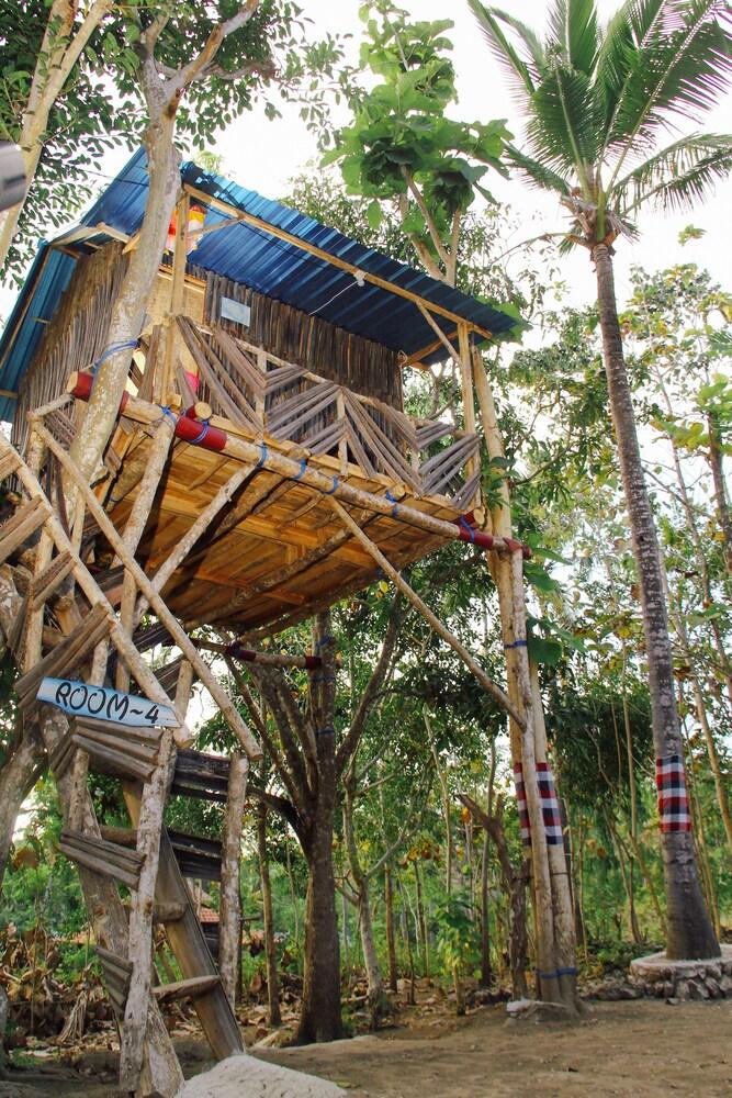 Nyuh Bengkok Tree House
