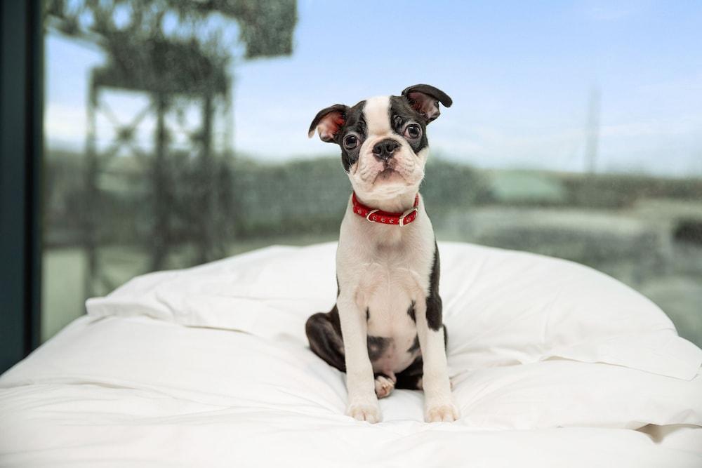 Radisson RED Glasgow