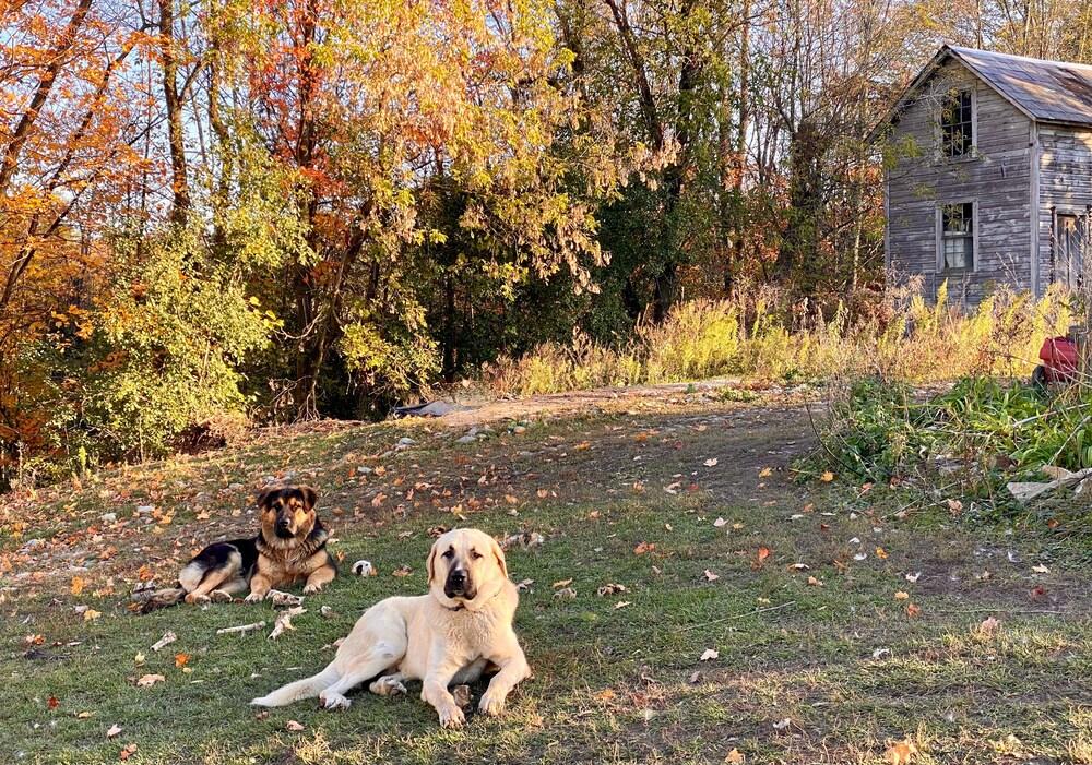 The Inn on Lake Champlain
