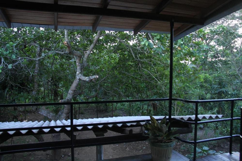 L.L.Tourist Inn & Safari jeeps