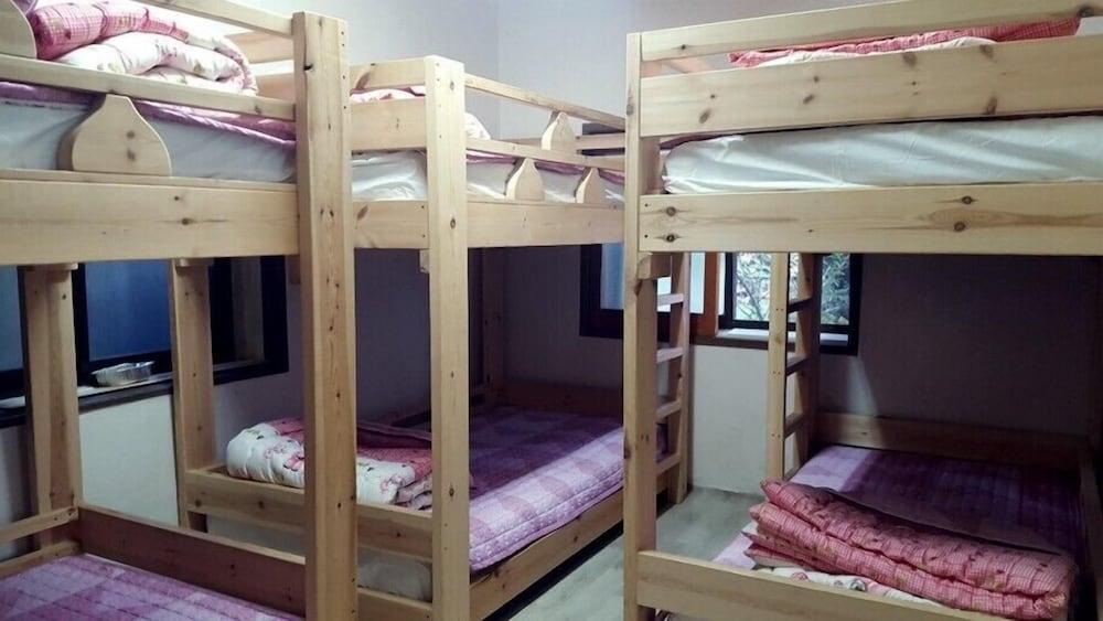 Jeojiri Tory's Dream