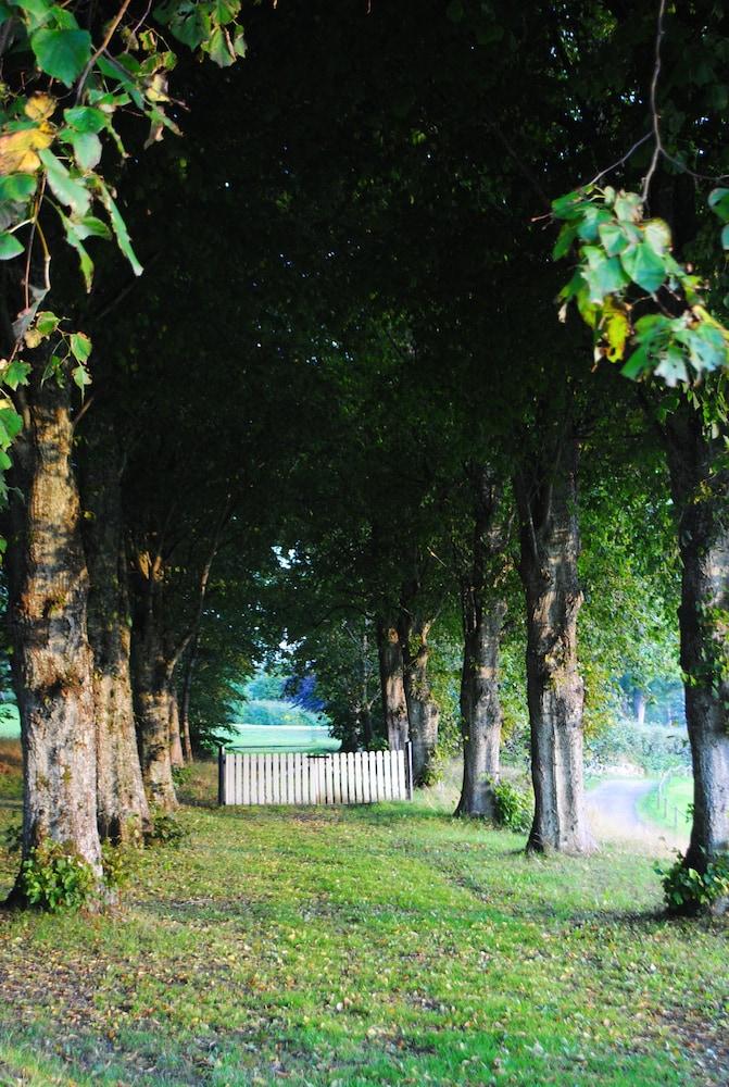 Anfasteröd Gårdsvik