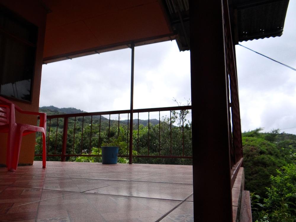 Hummingbird House B&B