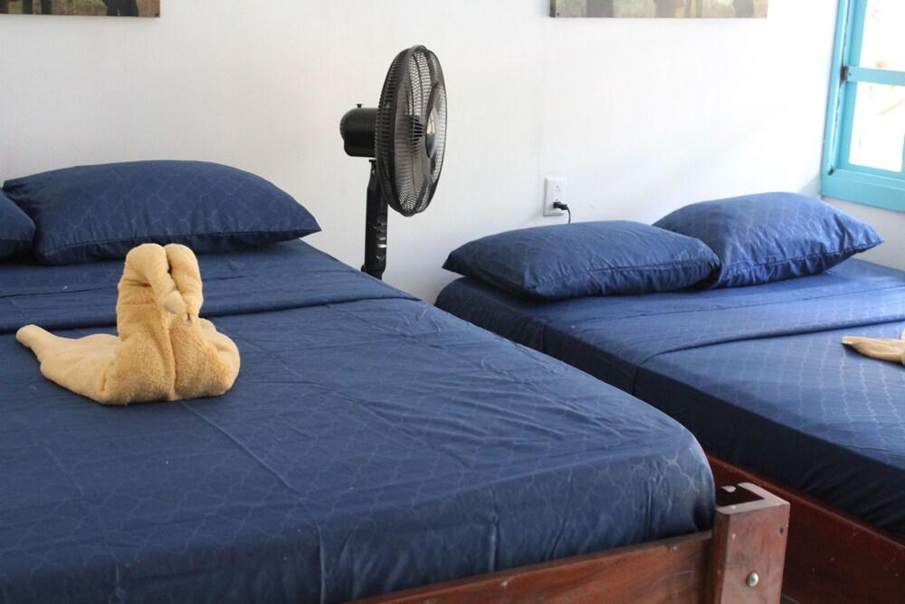 Tortuguero Hostel & Backpackers