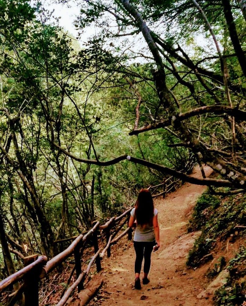 Kirkahvesi Garden - Campsite