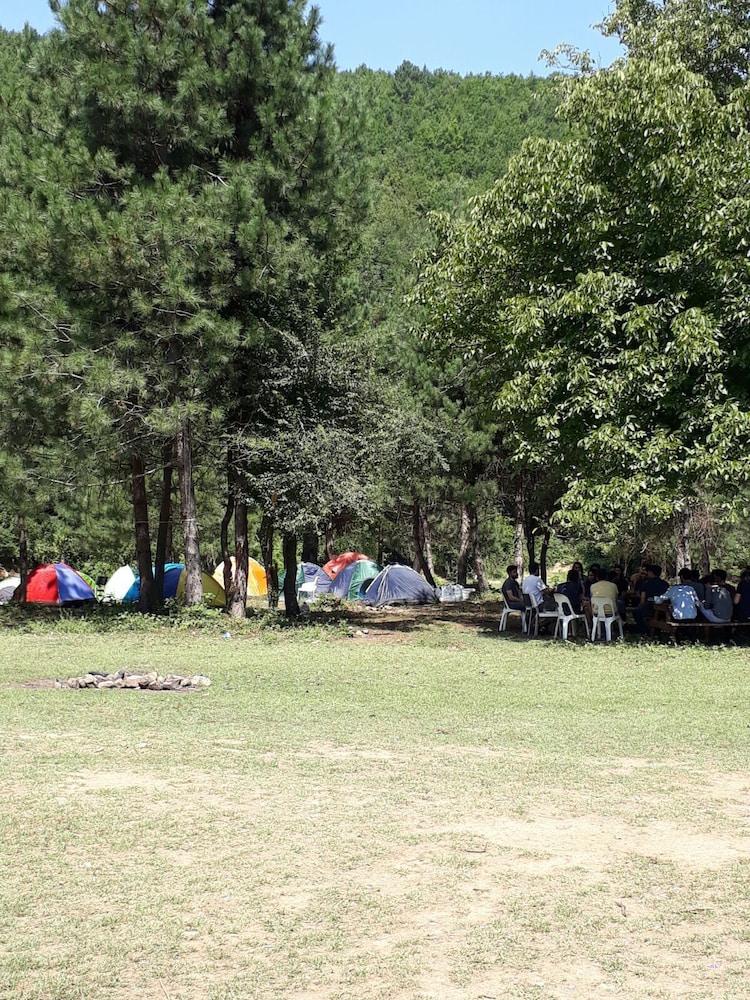 Kirkahvesi Garden - Campsite