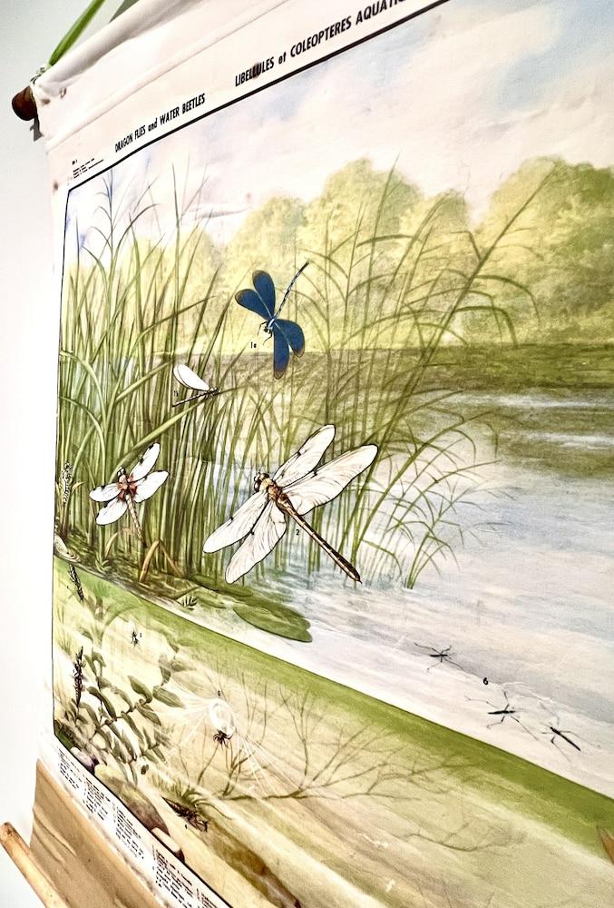 Lyttelton Boatique House