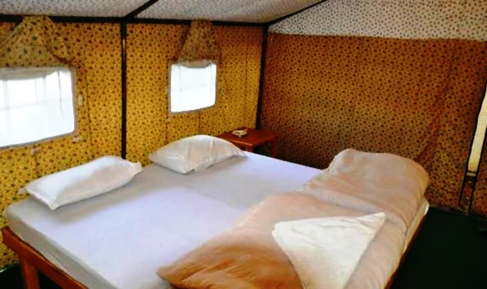 TIH The Norling Camp - Pangong