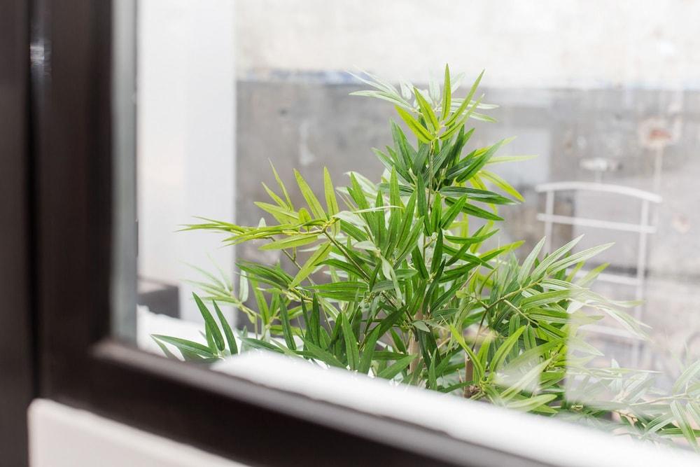 City District Apartment