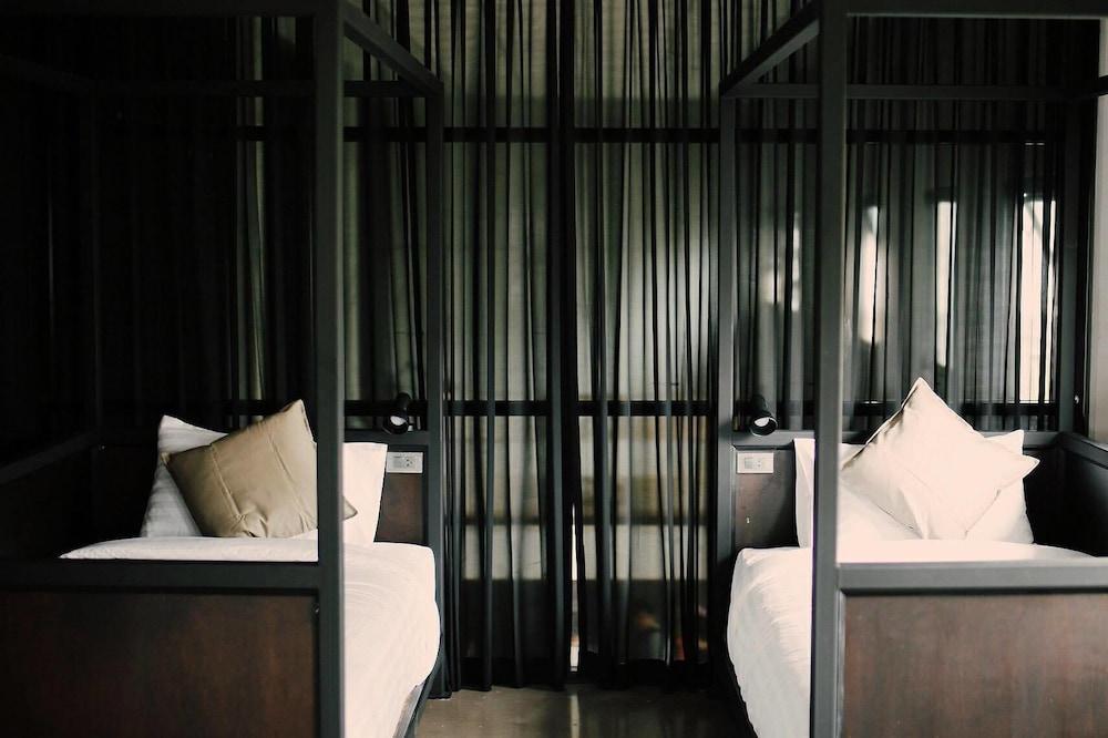 The Tree Sleep and Space