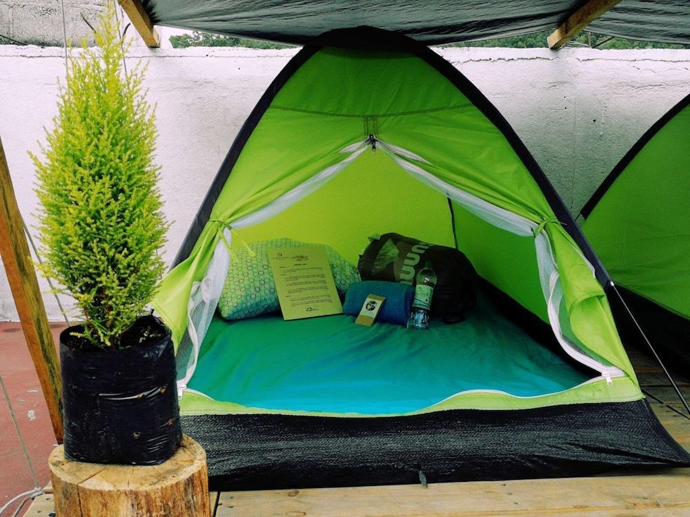 Camping & Travel Antigua