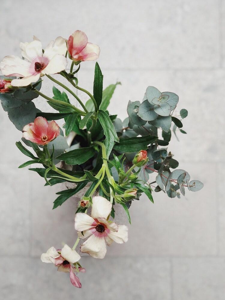 Vandrarhemmet Birkagatan 8