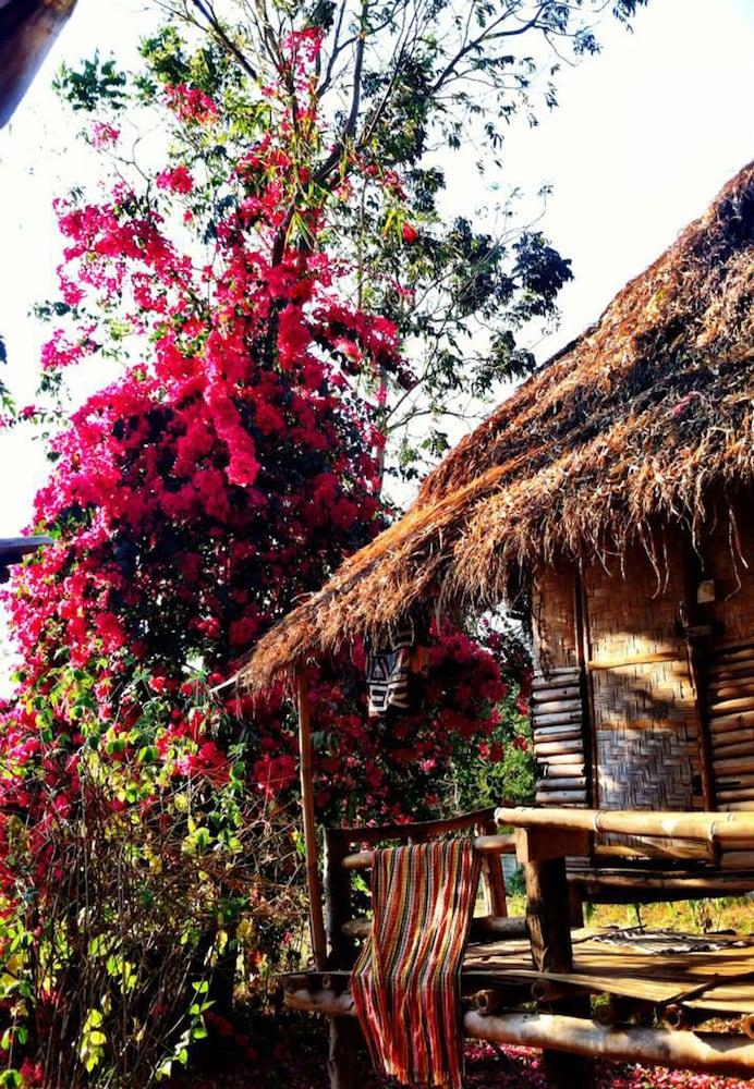 Giant House Riverside