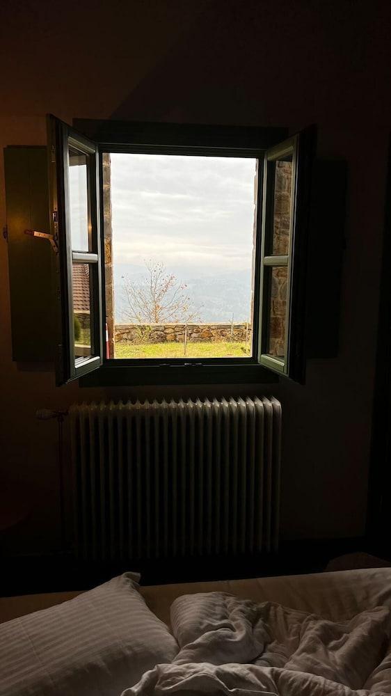 Foresta in Medias Mores