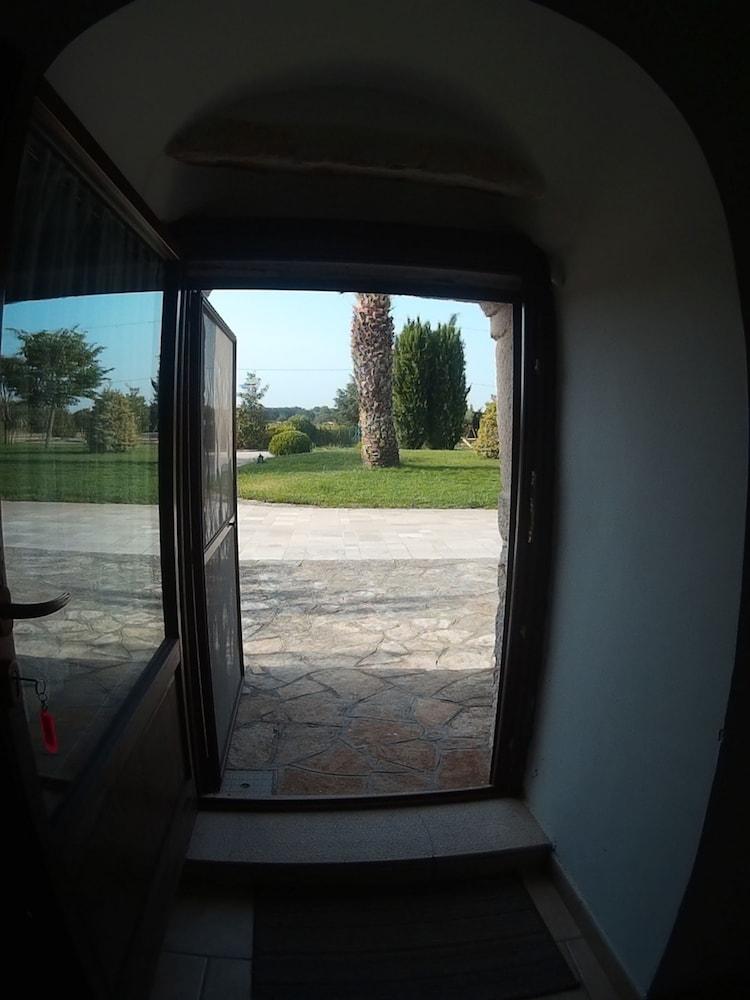 Tenuta Antico Leccio