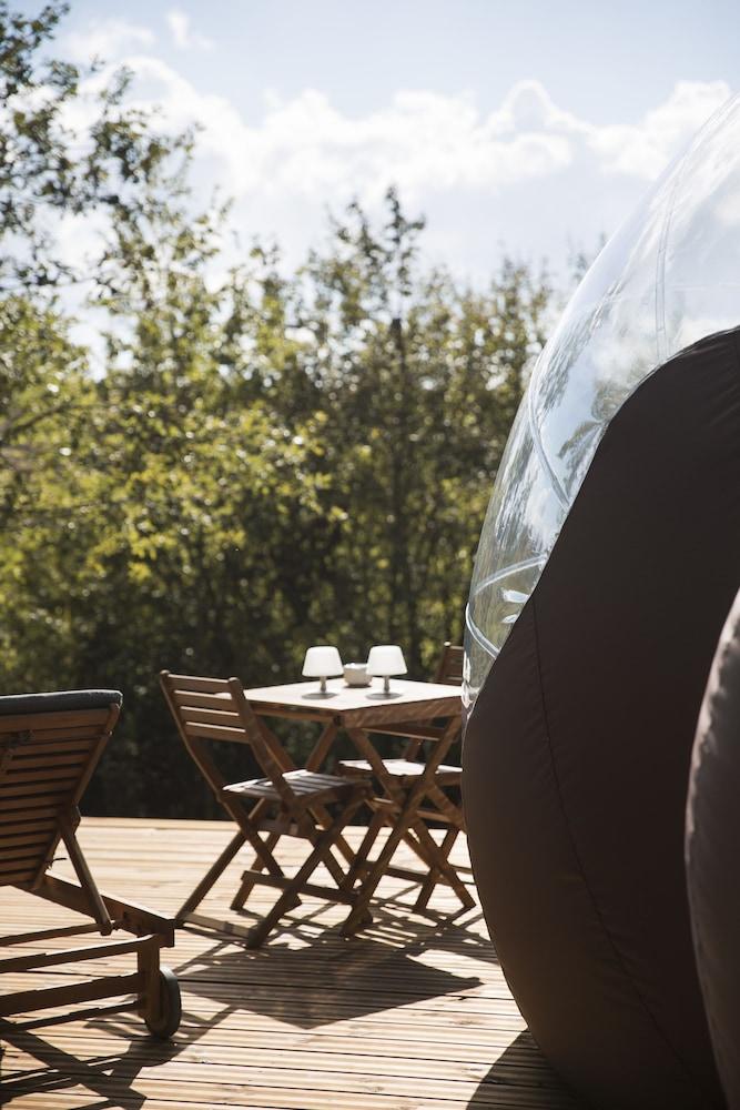 Chrysalide Saint Martin