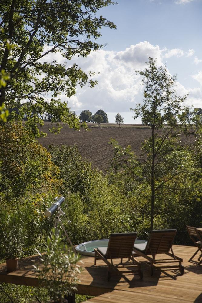 Chrysalide Saint Martin